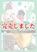 釣りサプリ Vol.1 〜弓削和夫×エギング〜