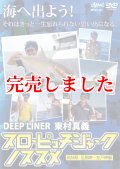 東村真義 スローピッチジャークのススメ DVD 110分