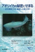 画像1: アオリイカの秘密にせまる　研究期間25年、観察した数3万杯 (1)