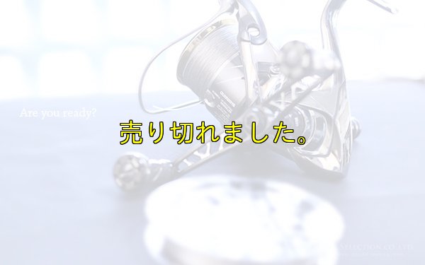 画像3: X8-PE 0.6-200ｍスモークシールド 単色