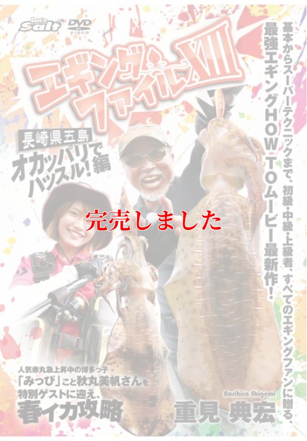 画像1: エギングファイル 13 (XIII)　長崎五島　オカッパリでハッスル! 編