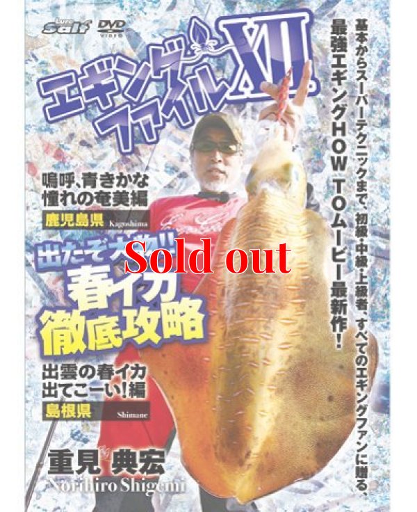 画像1: エギングファイル 12 ( ? )  出たぞ大物！春烏賊徹底攻略