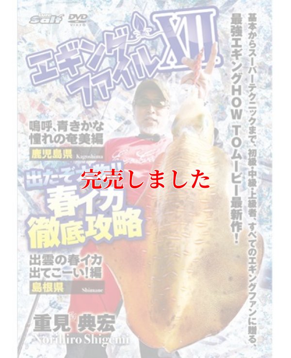 画像1: エギングファイル 12 ( ? )  出たぞ大物！春烏賊徹底攻略