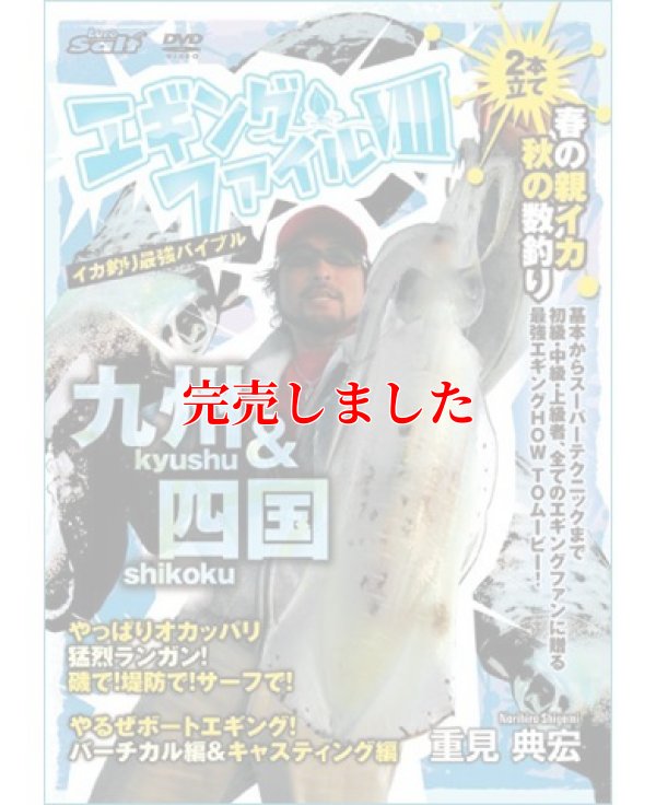 画像1: エギングファイル 8　( VIII )  四国&九州編　