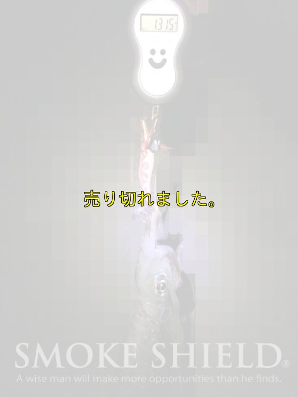 画像7: スクマニ X8-PE SMOKE SHIELD /イエロー0.5-210m