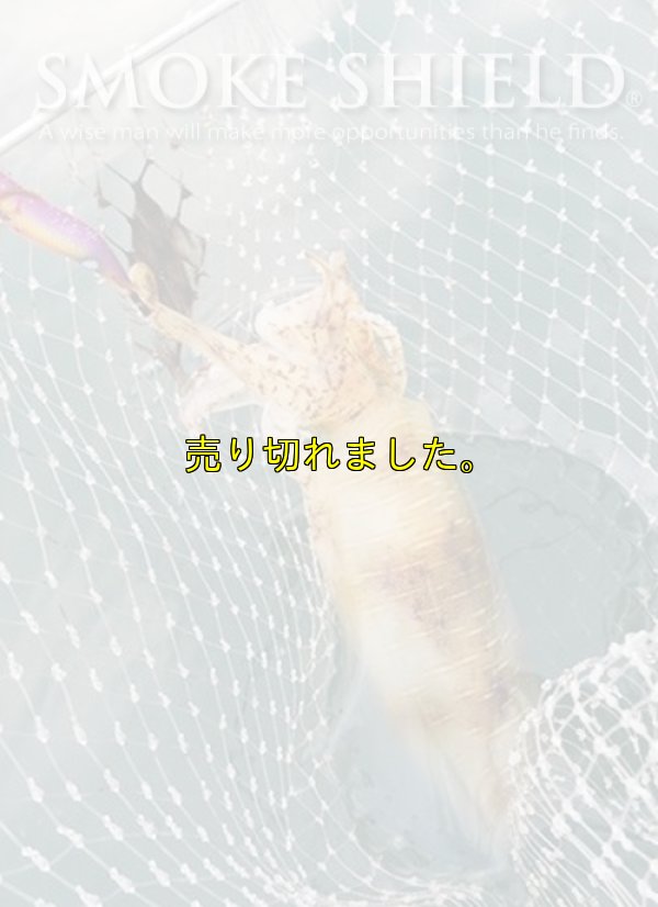 画像11: スクマニ X8-PE イエロー4m×グリーン1m 0.6-200m