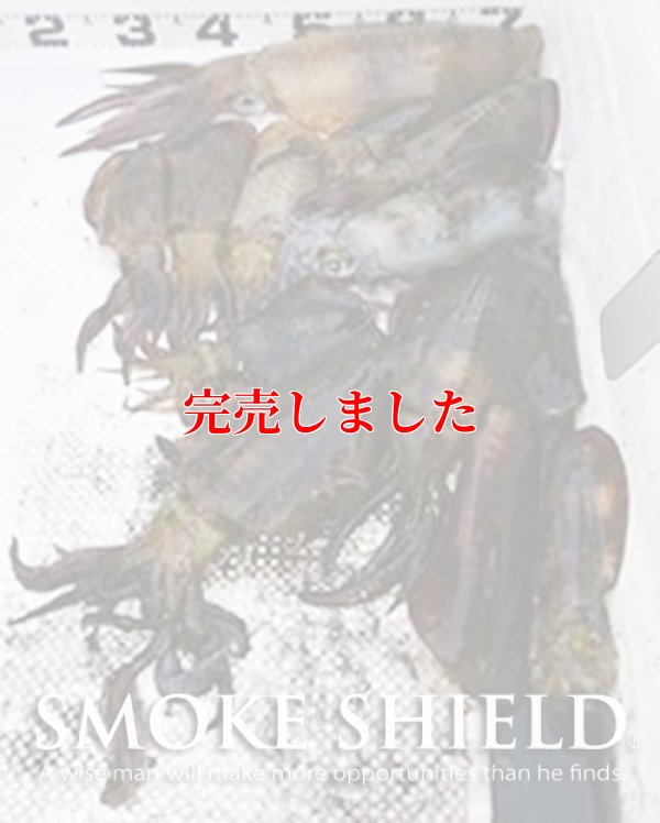 画像12: スクマニ X8-PE SMOKE SHIELD 0.4-240ｍ