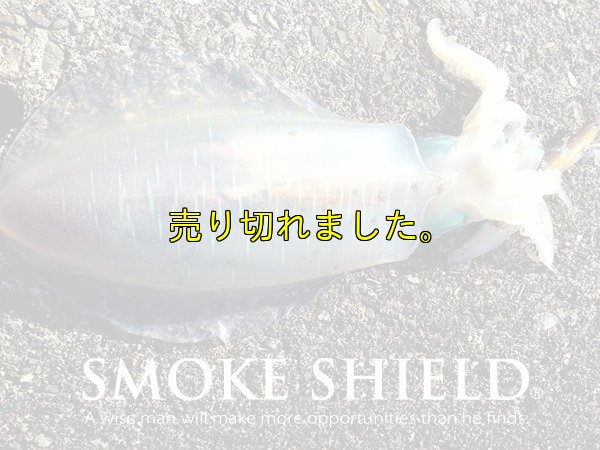 画像15: スクマニ X8-PE SMOKE SHIELD 0.4-240ｍ