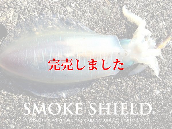 画像16: スクマニ X8-PE SMOKE SHIELD 0.4-240ｍ
