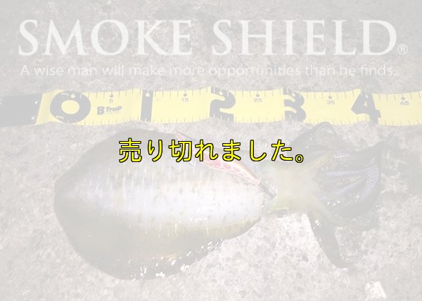 画像7: スクマニ X8-PE SMOKE SHIELD 0.4-240ｍ