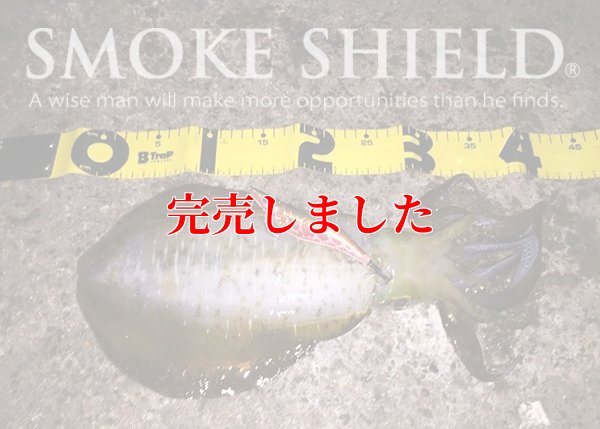 画像8: スクマニ X8-PE SMOKE SHIELD 0.4-240ｍ