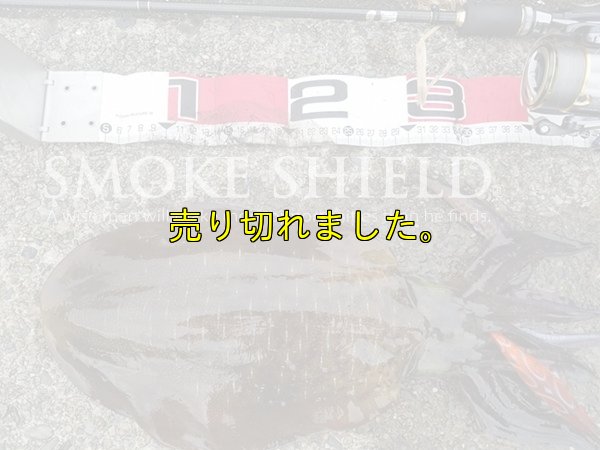 画像14: スクマニ X8-PE SMOKE SHIELD 0.4-240ｍ