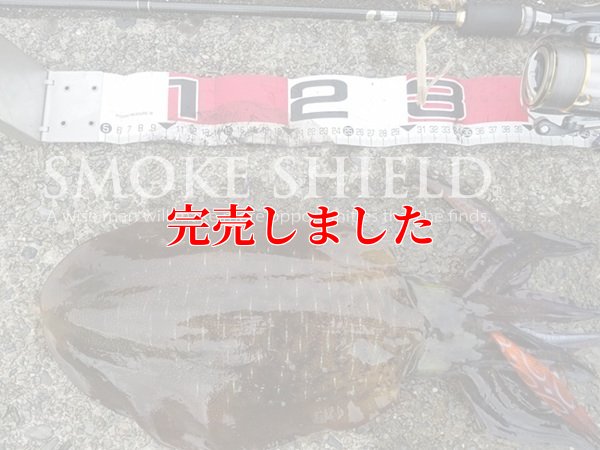 画像15: スクマニ X8-PE SMOKE SHIELD 0.4-240ｍ