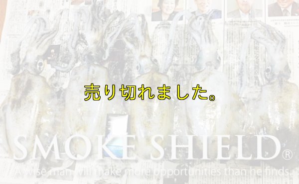 画像12: スクマニ X8-PE SMOKE SHIELD 0.4-240ｍ