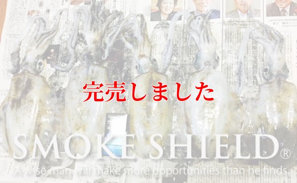 画像13: スクマニ X8-PE SMOKE SHIELD 0.4-240ｍ