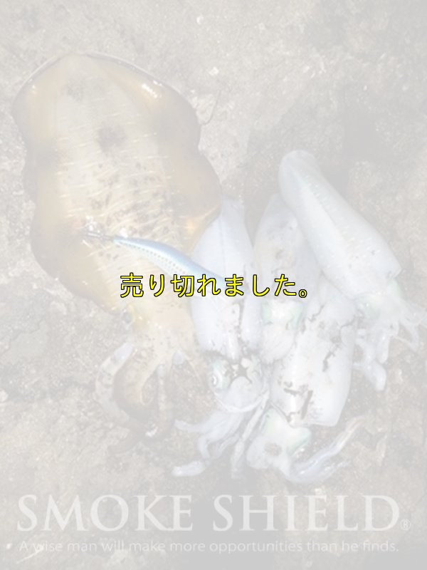 画像8: スクマニ X8-PE SMOKE SHIELD 0.4-240ｍ