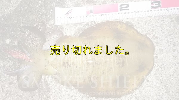 画像14: スクマニ X8-PE SMOKE SHIELD /イエロー0.5-210m