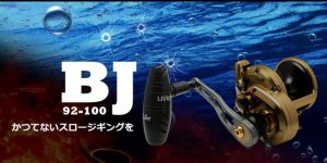 画像3: LIVRE M's custom BJ 92-100 Bullet