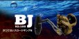 画像3: LIVRE M's custom BJ 92-100 EP 50ファイヤー (3)