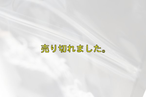 画像11: 極強マルチスタンドBAG /L /5枚入り 