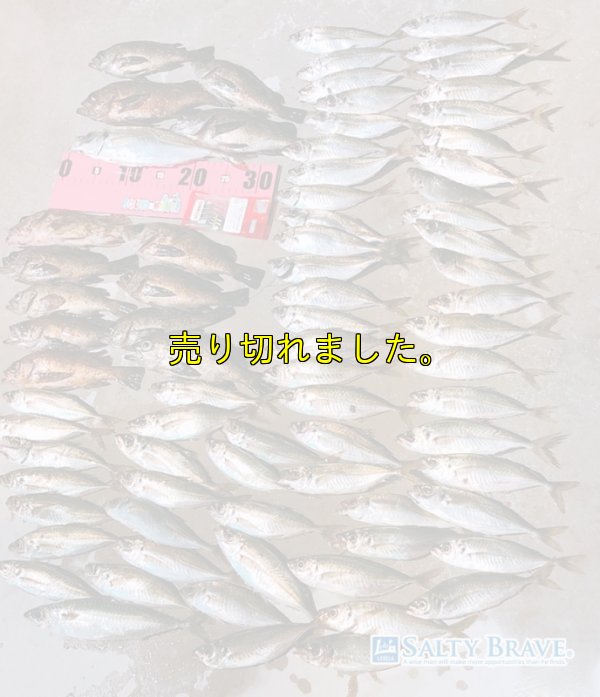 画像6: 極強マルチスタンドBAG /L /5枚入り 