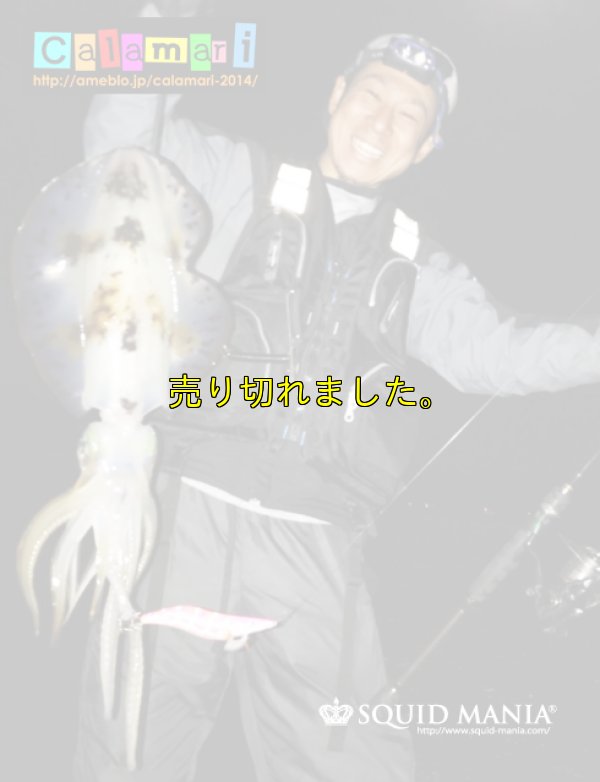 画像19: 極強マルチスタンドBAG /L /5枚入り 