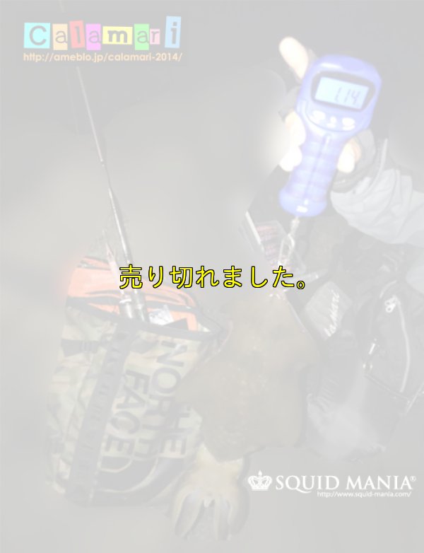 画像18: 極強マルチスタンドBAG /L /5枚入り 