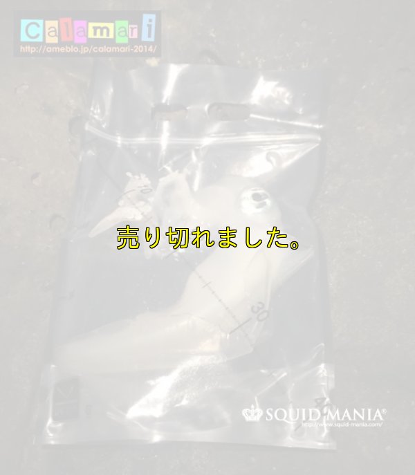 画像17: 極強マルチスタンドBAG /L /5枚入り 