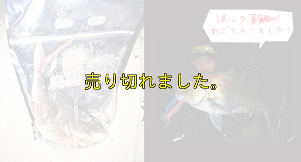 画像5: 極強マルチスタンドBAG /L /5枚入り 