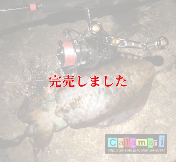 画像3: スクマニ X8-PE ピンク4m×SS1m 0.6-200m