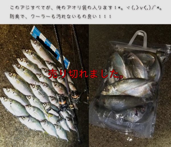 画像4: AJING / X4 PE PREMIUM 0.2号 100m / Milky Orange