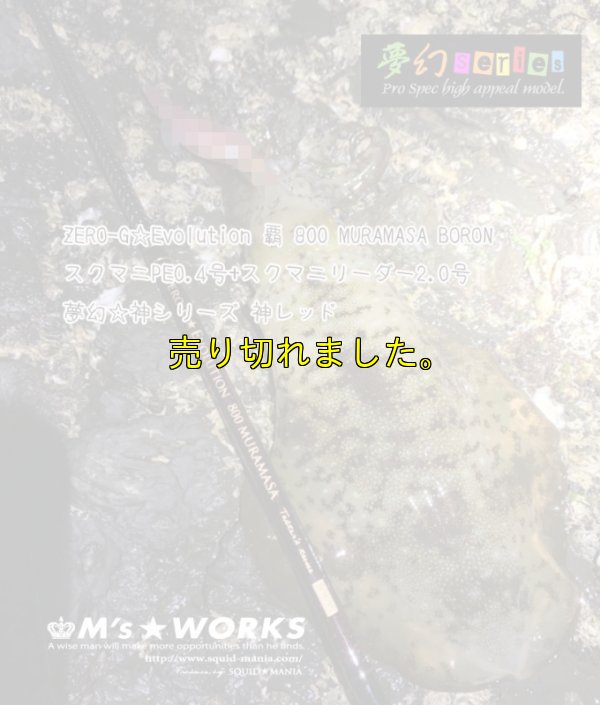 画像4: スクマニ X8-PE SMOKE SHIELD 0.4-240ｍ