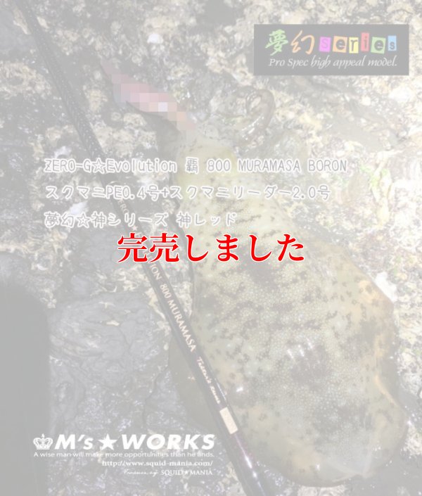 画像5: スクマニ X8-PE SMOKE SHIELD 0.4-240ｍ