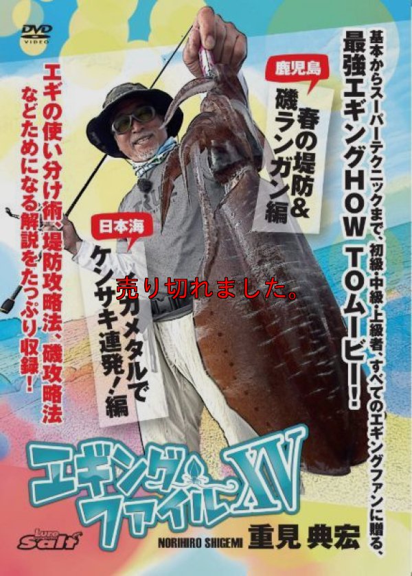 画像1: 重見典宏 エギングファイル vol.15（XV）