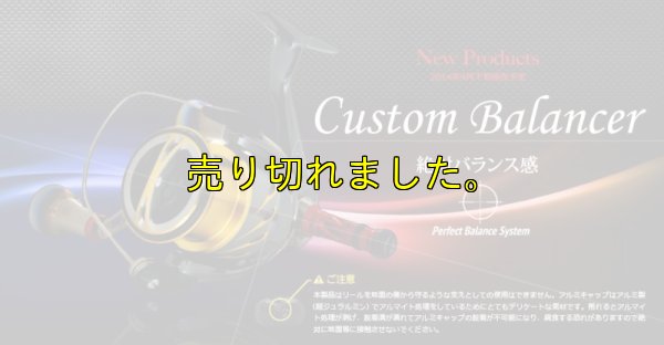 画像10: スクマニ限定 LIVRE カスタムバランサー / ALL BLACK  type-2 / C1