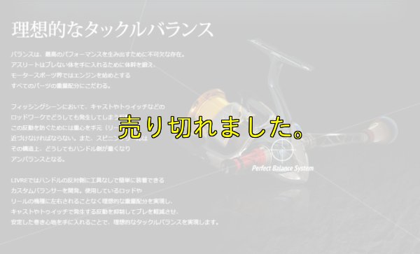 画像11: スクマニ限定 LIVRE カスタムバランサー / ALL BLACK  type-2 / C1