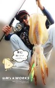 画像11: X8-PE 0.5-210ｍスモークシールド 単色
