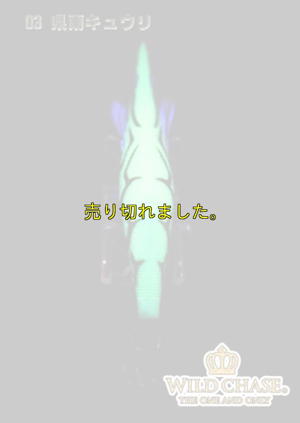 画像5: WILD CHASE 3.5号ラトル（03）県南キュウリ