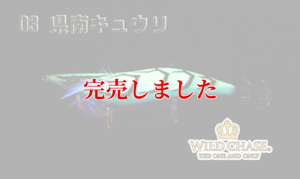 画像7: 3.5号RT（03）県南キュウリ