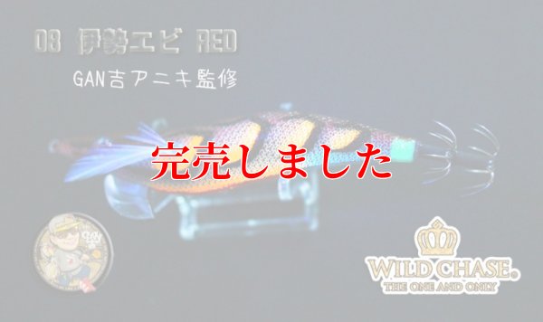 画像4: 3.5号RT（08）伊勢エビRED