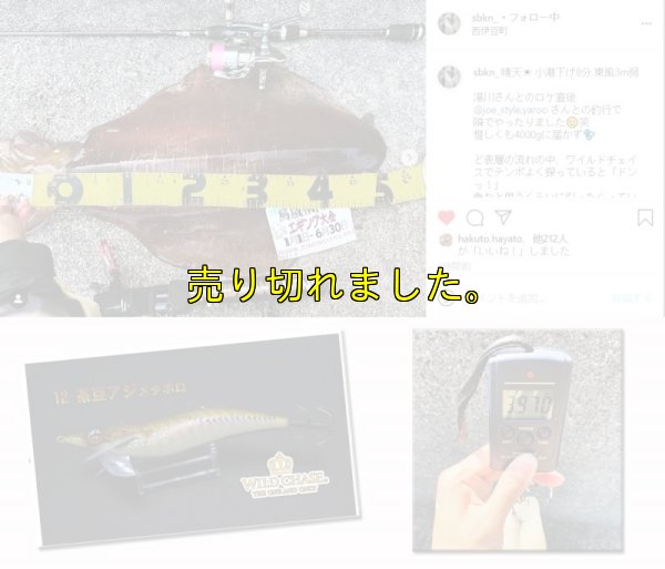 画像3: WILD CHASE 3.5号ラトル (12）茶豆アジメタホロ