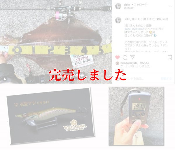 画像4: 3.5号RT (12）茶豆アジメタホロ