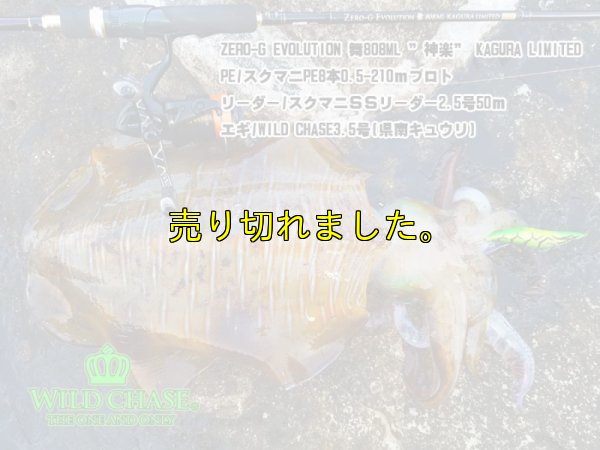 画像7: WILD CHASE 3.5号ラトル（03）県南キュウリ