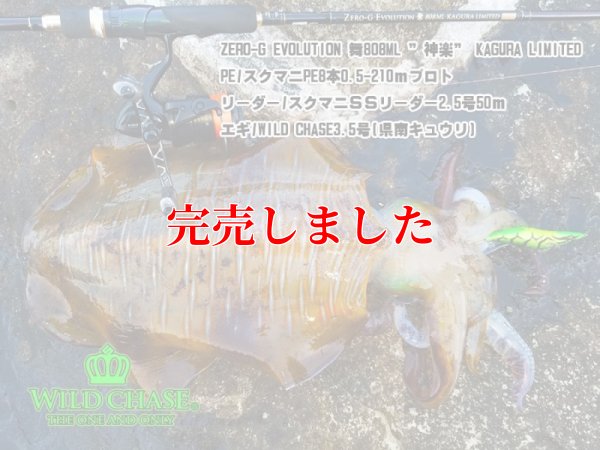 画像8: 3.5号RT（03）県南キュウリ