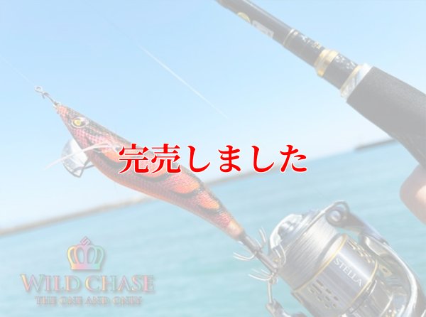 画像6: 3.5号RT（08）伊勢エビRED