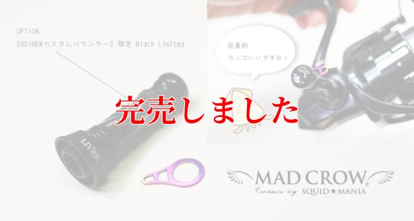画像2: LIVRE バランサー用 フックキーパー Aurora