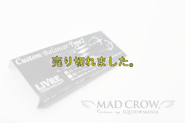 画像5: スクマニ限定 LIVRE カスタムバランサー / ALL BLACK  type-2 / C1