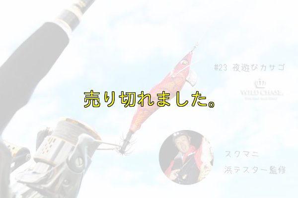 画像4: WILD CHASE 3.5号シャロー (23) 夜遊びカサゴ