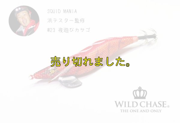 画像2: WILD CHASE 3.5号シャロー (23) 夜遊びカサゴ