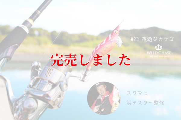 画像4: 3.5号SS (23) 夜遊びカサゴ